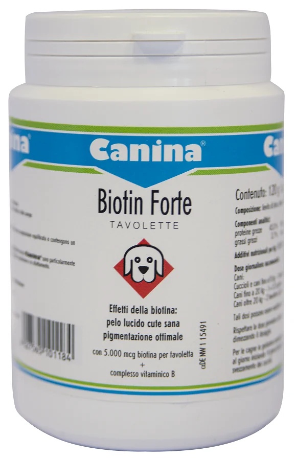 BIOTINA Biotin Forte 120 comprimidos