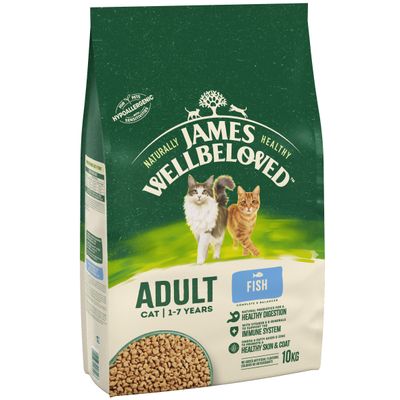 James, gatto adulto molto amato - Pesce