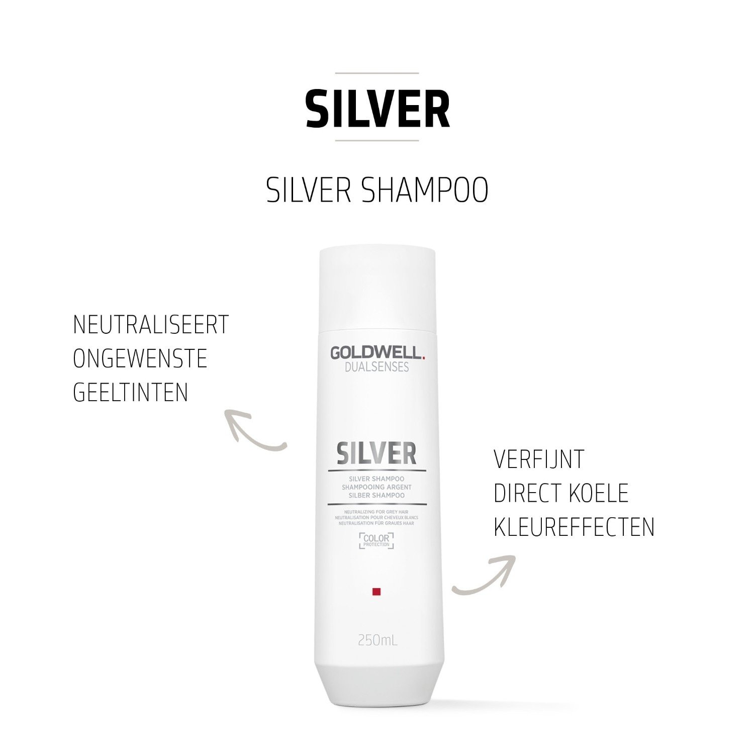 „Goldwell Dualsenses Silver“ šampūnas, 250 ml