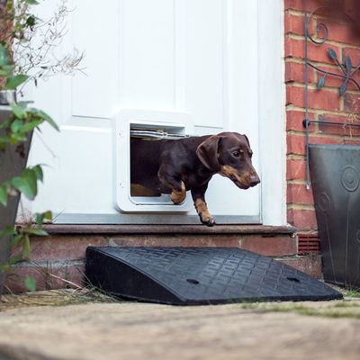 SureFlap Microchip Pet Door Connect
