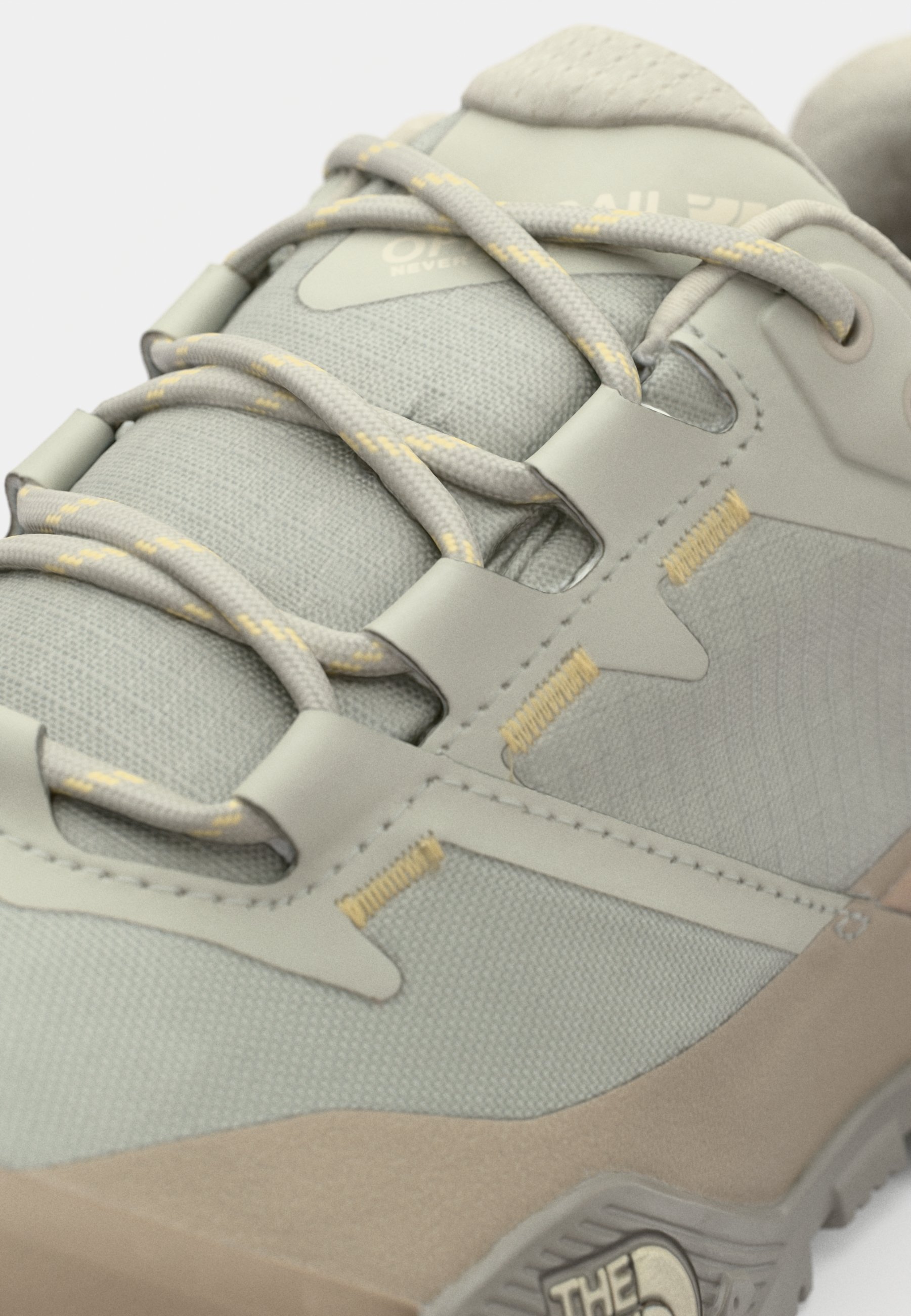 The North Face OFFTRAIL GORE TEX - Túracipő - szappan/ásványi só