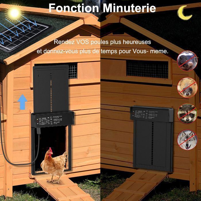 Puerta automática para gallinero con energía solar - Resistente al agua IPX6 - Temporizador de apertura - Control remoto inalámbrico - 328 x 244 mm
