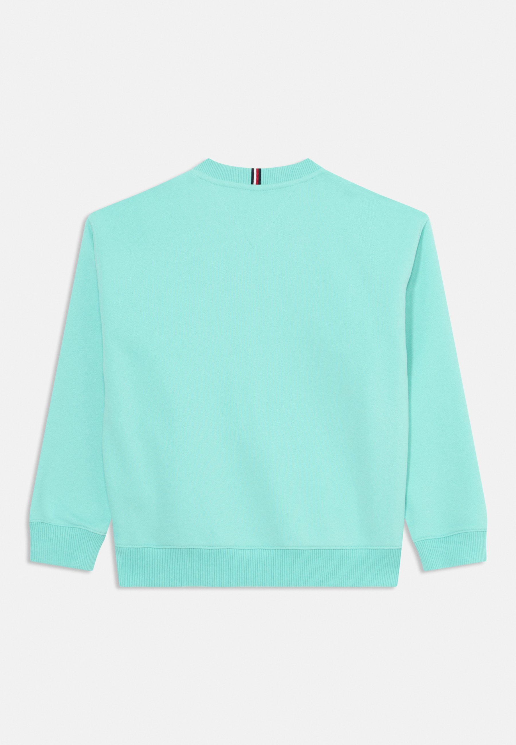 Tommy Hilfiger MINI CORP UNISEX - Felpa - mentolo