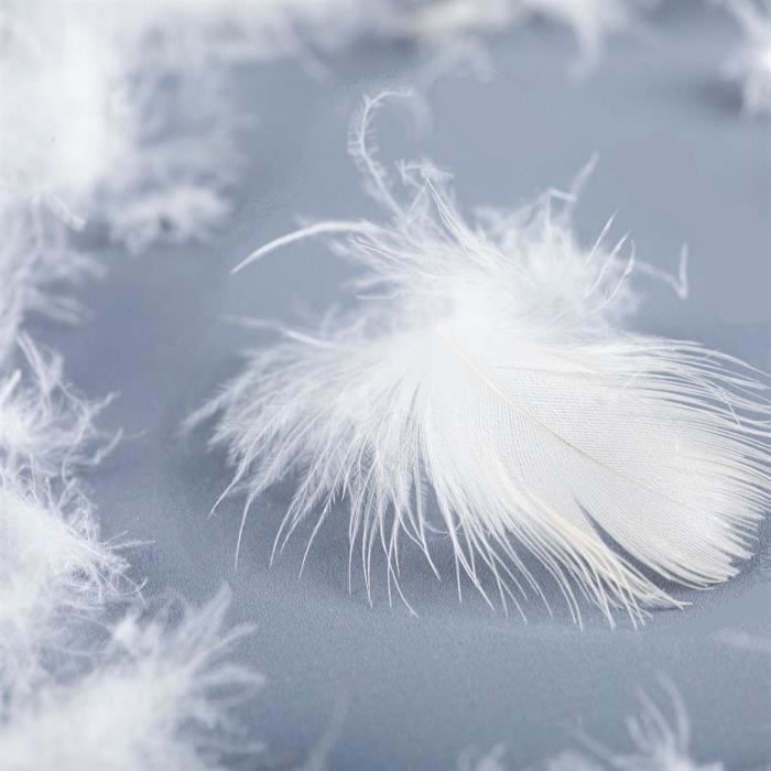 Traversin naturel plumes 180 cm
