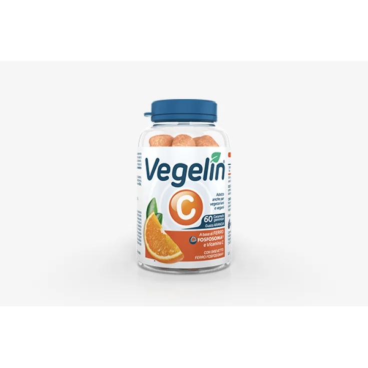Elastiekjes SHEDIR Vegelin C 60Caram