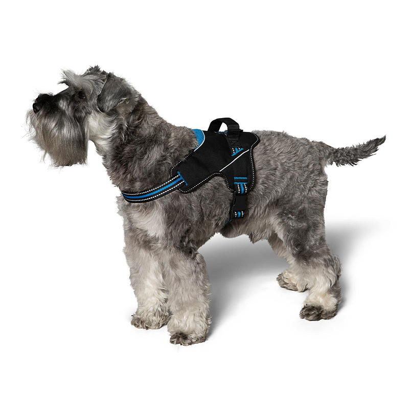 Zoozaker Hundegeschirr 35 cm, mit Griff