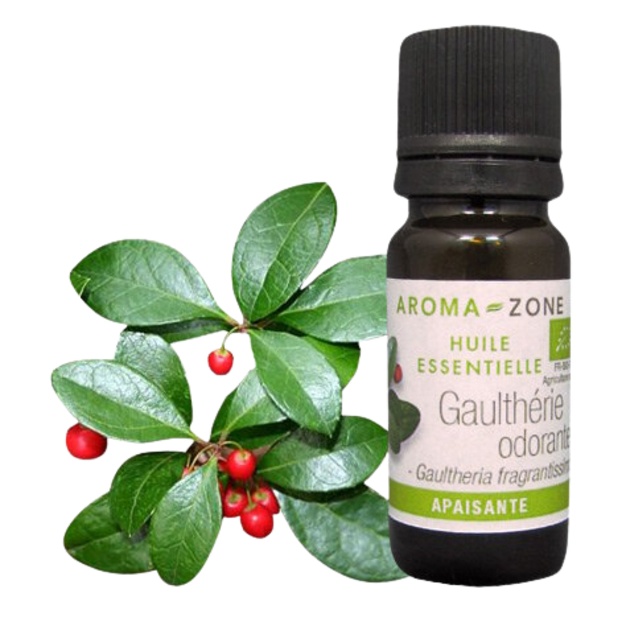 Organiczny olejek eteryczny z gaultherii 10 ml