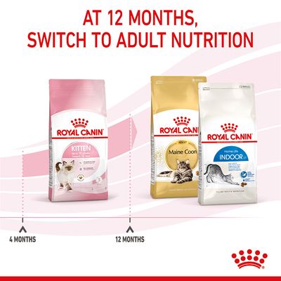 Royal Canin Killing