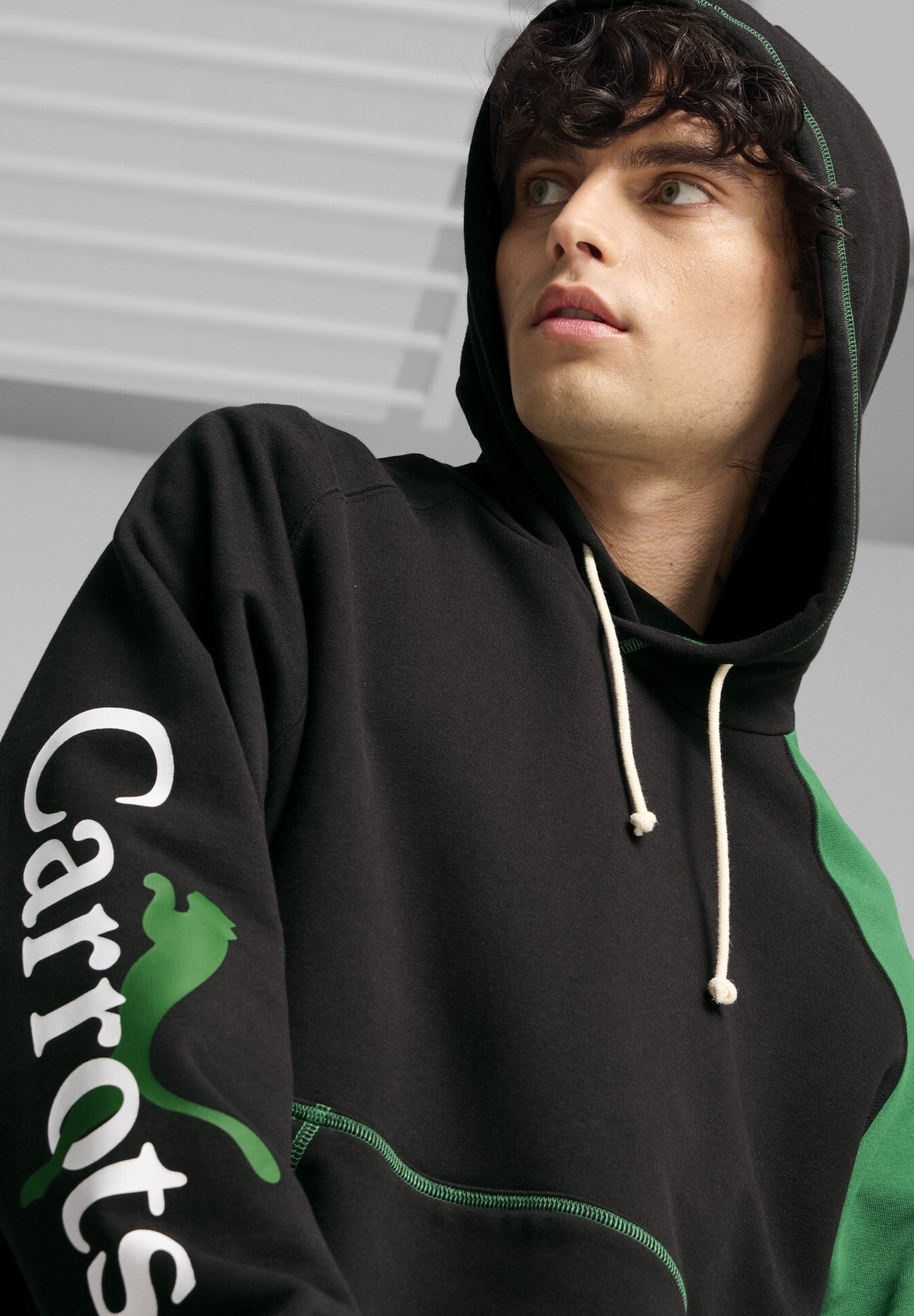 Puma CARROTS - Sweat à capuche - noir