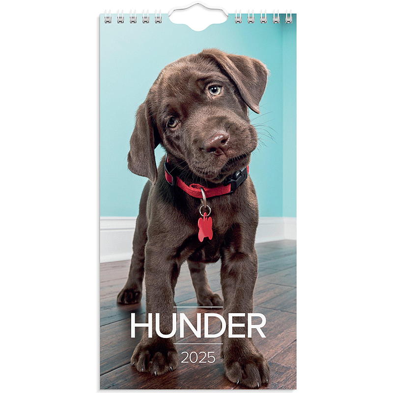 Mini wandkalender met honden 2025