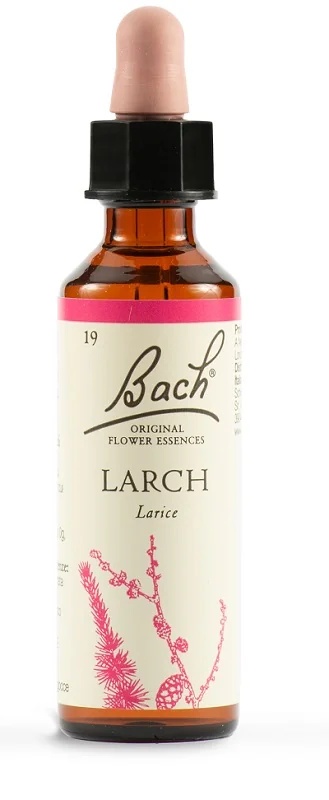 SCHWABE Schwabe Bachbloesem lariks 19 druppels 20 ml