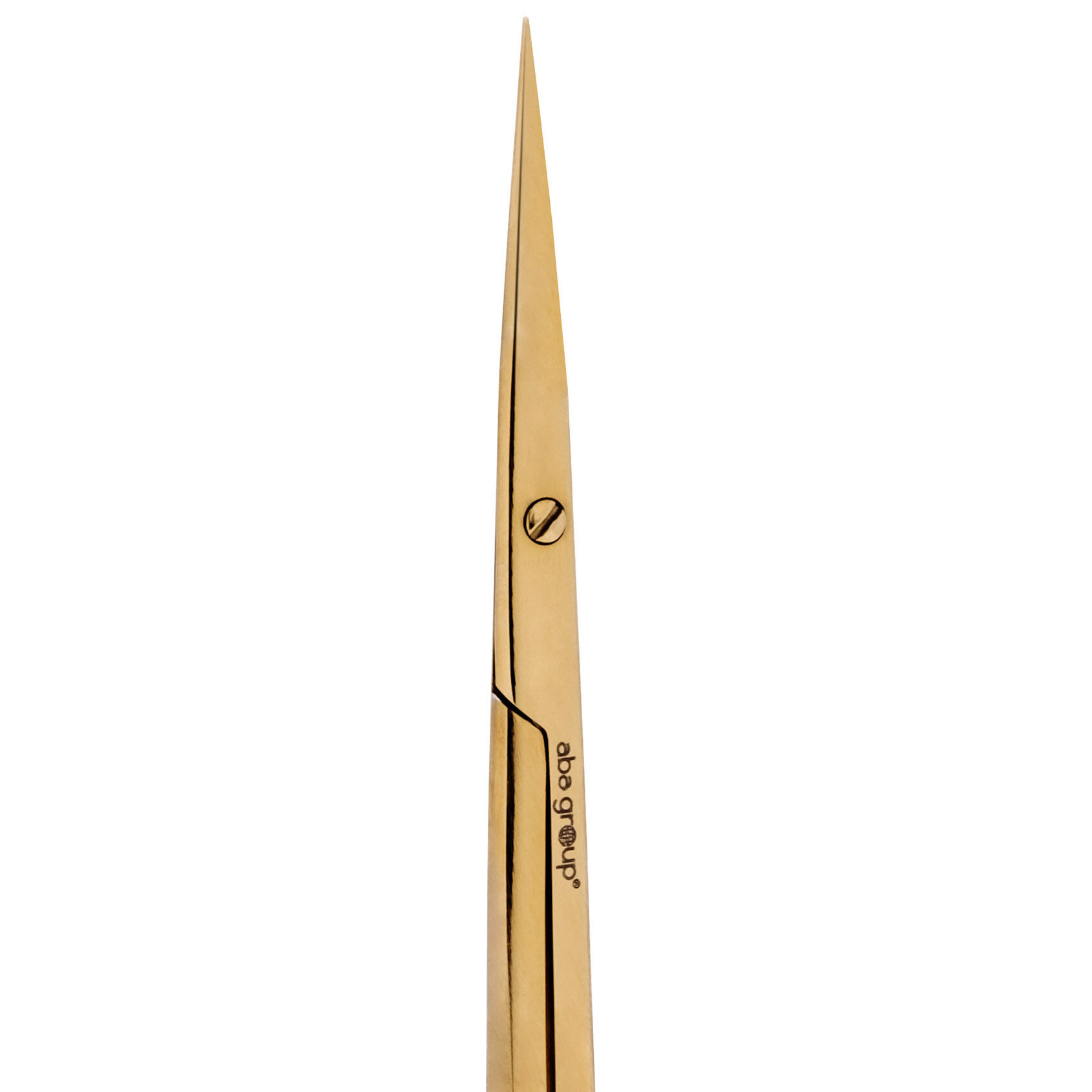 Skupina Aba