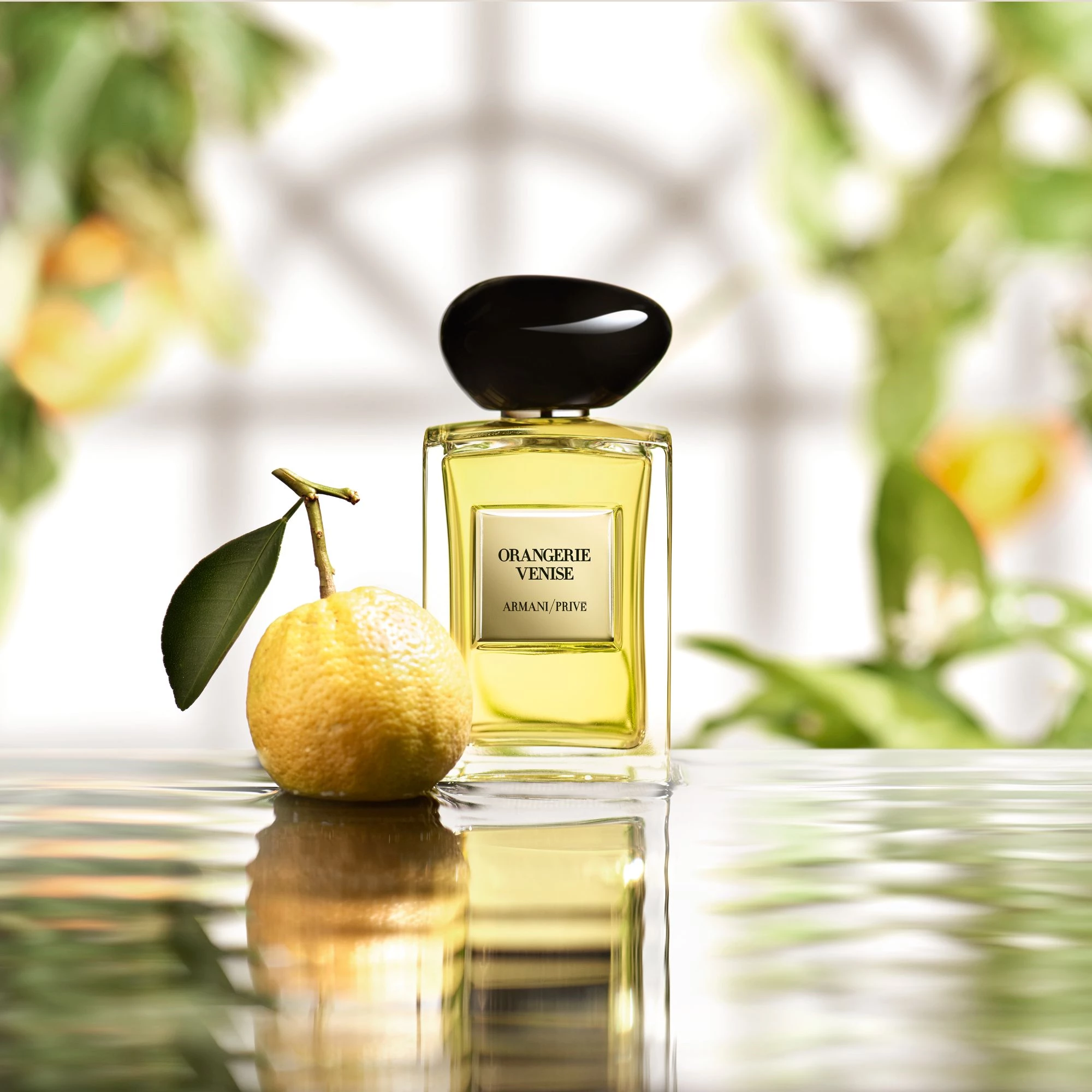 Orangerie Venise EdT 100 ml - Armani Privé