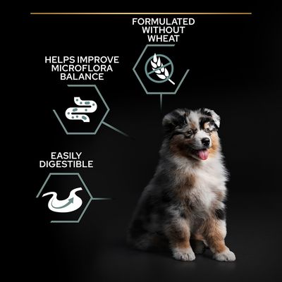 PURINA PRO PLAN Welpenfutter für alle Größen, getreidefrei, Truthahn, für empfindliche Verdauung