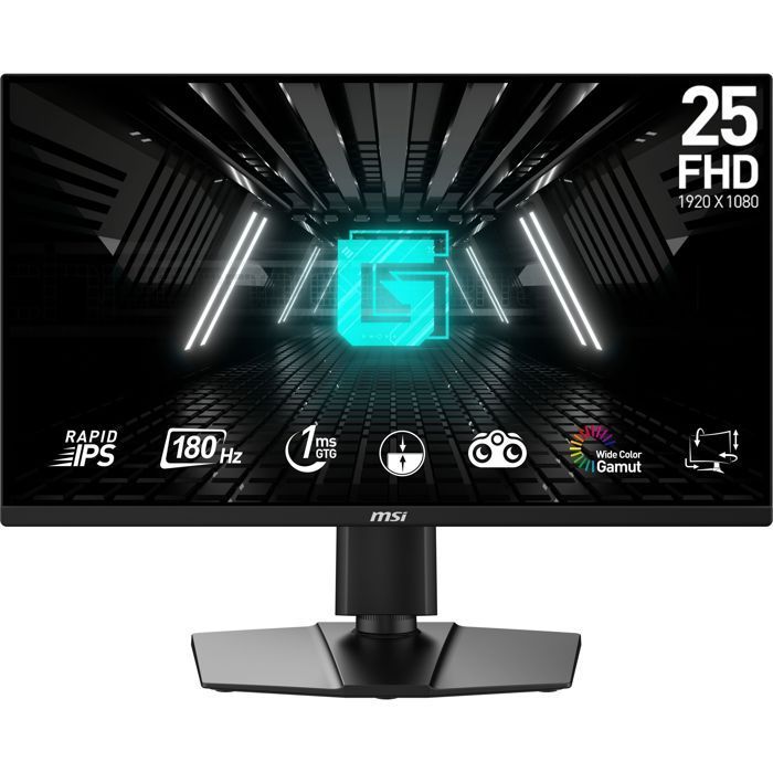 MSI Gaming Monitor - 25