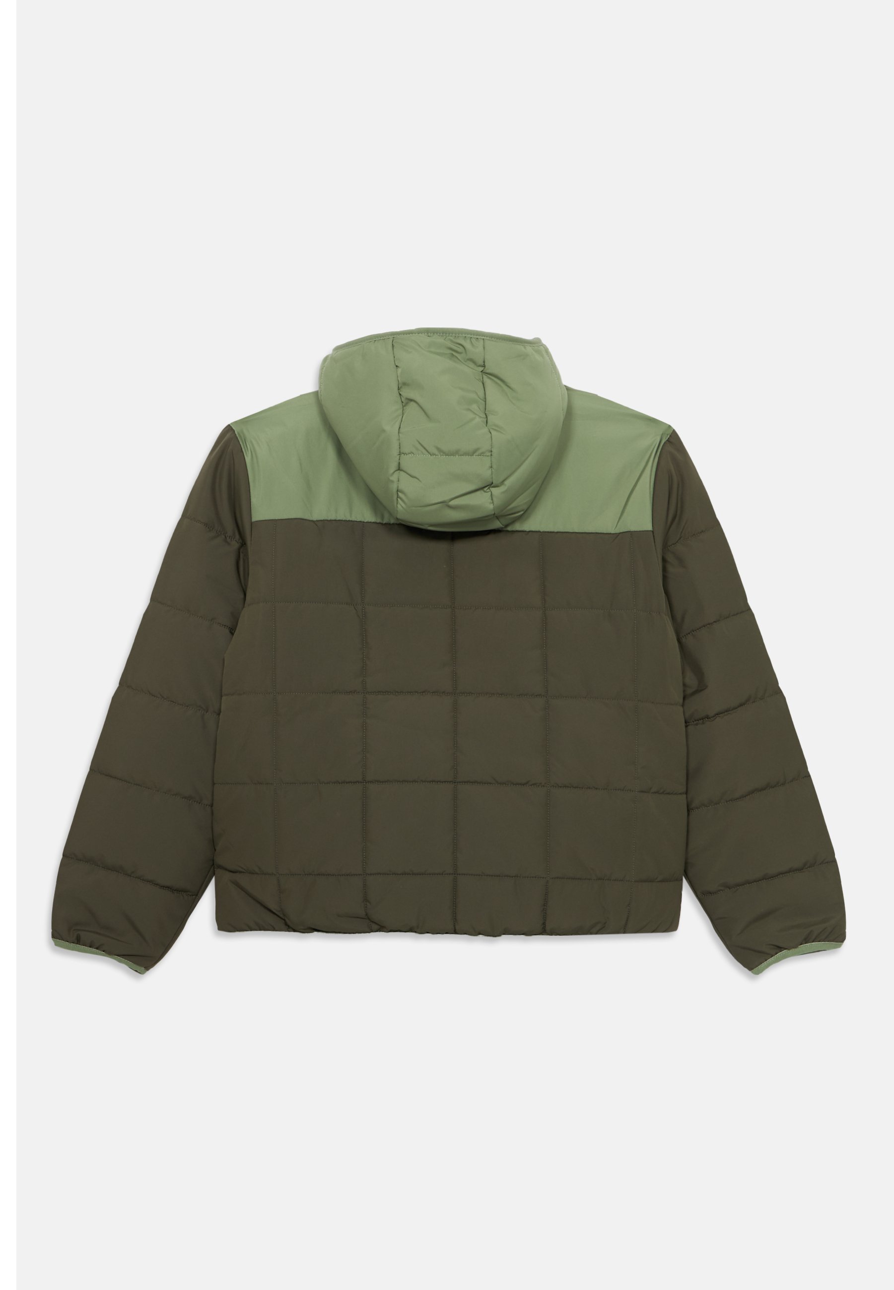 The North Face REVERSIBLE SHASTA HOODED JACKET UNISEX - Talvitakki - new taupe green/bark mist