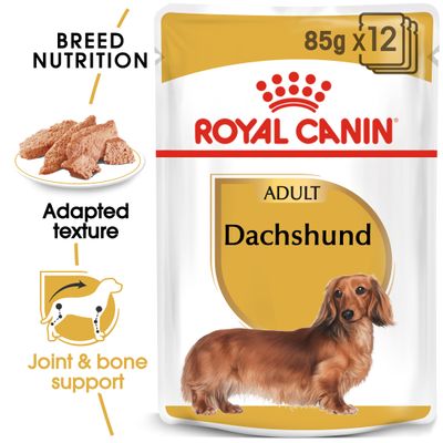 Royal Canin Plátano para Dachshund