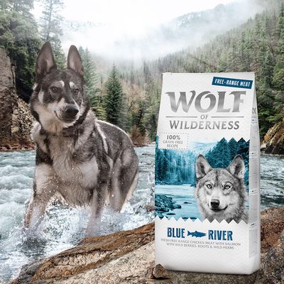 Wolf of Wilderness Adult „Blue River” – kurczak i łosoś z wolnego wybiegu