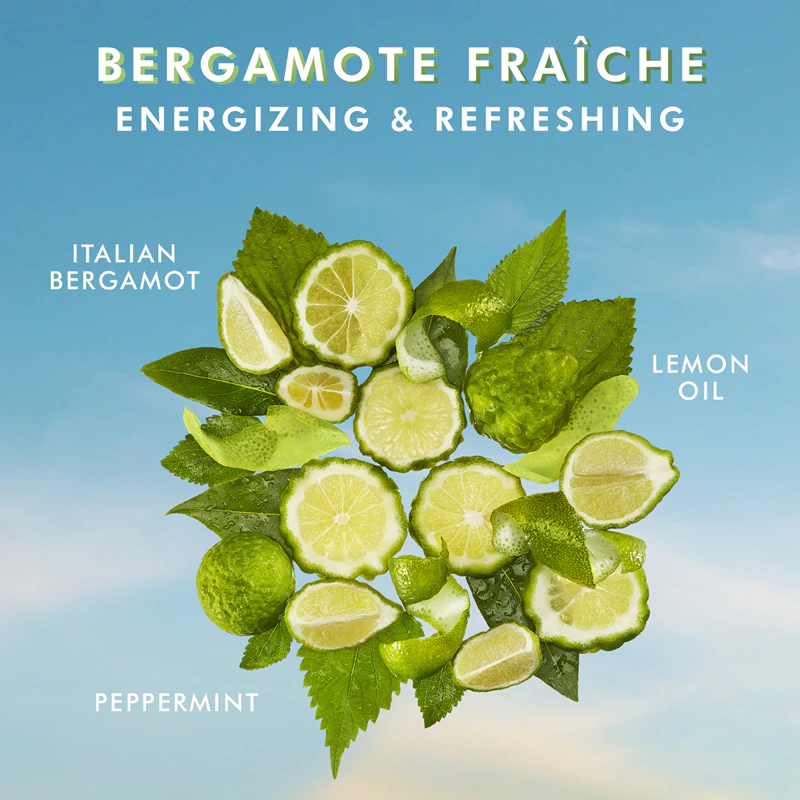 Moroccanoil Body Bergamote Fraîche Voedende Bodycrème