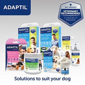 Σπρέι μεταφοράς ADAPTIL®