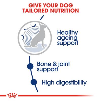 Royal Canin Maxi Ab 8+