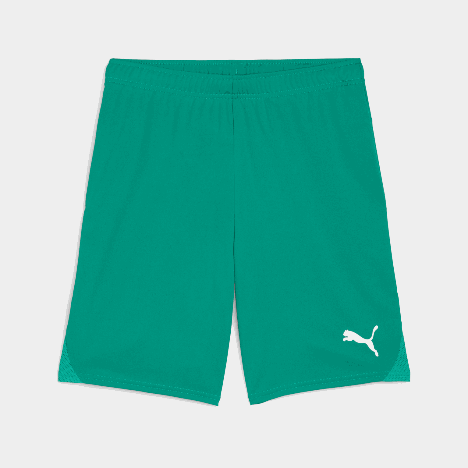  Calças de treino masculinas TeamGOAL
