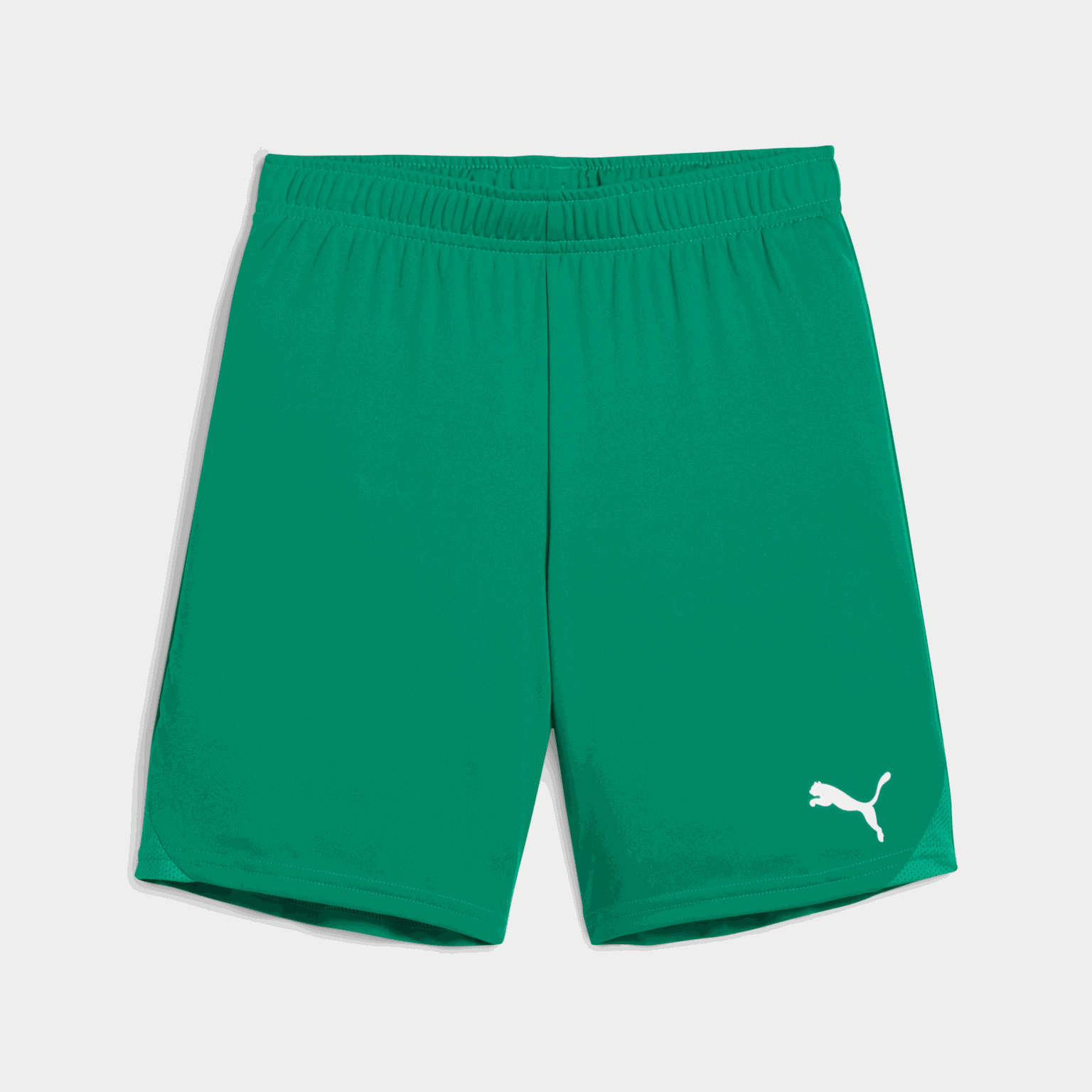  Calções teamGOAL, calções de treino, para jovens