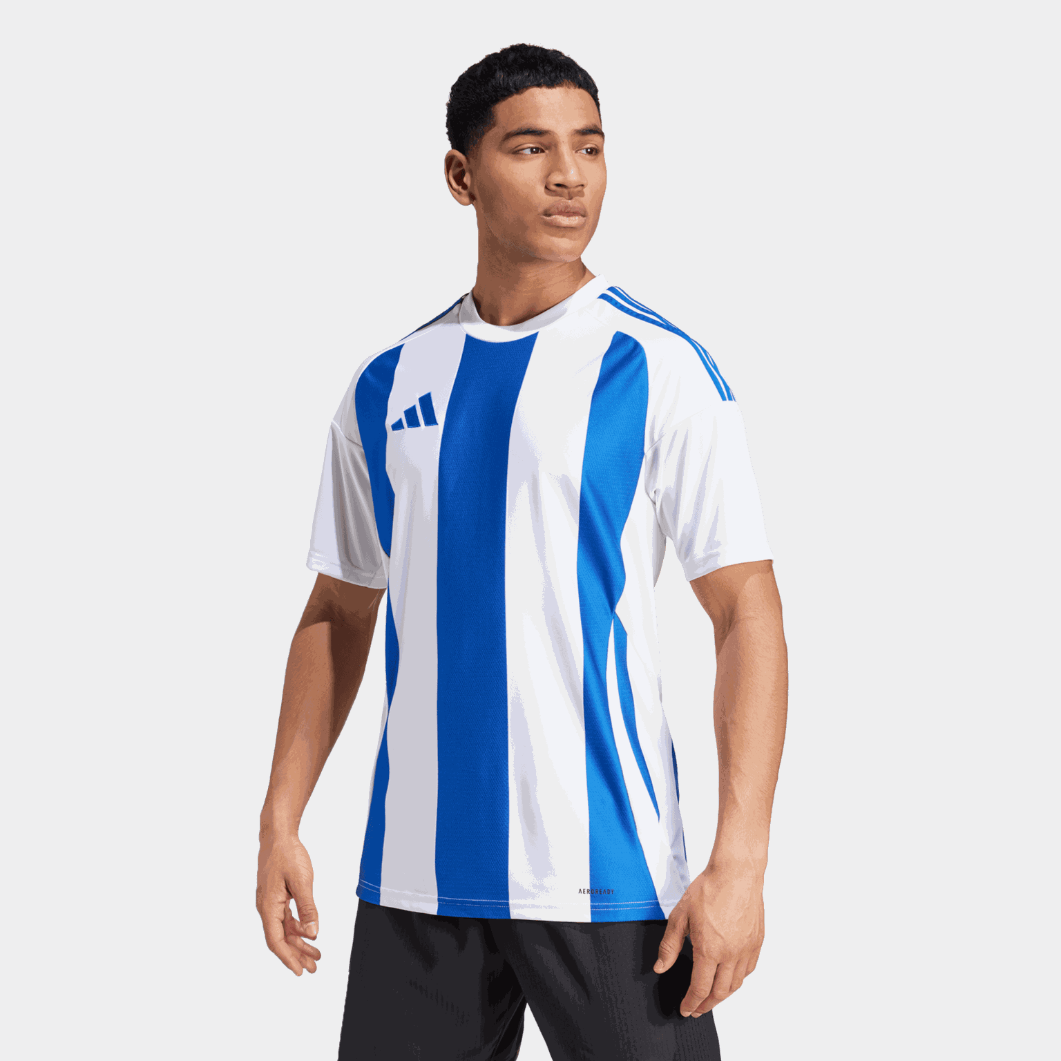 Striped 24 Jersey, treningstrøye, herre - Blå