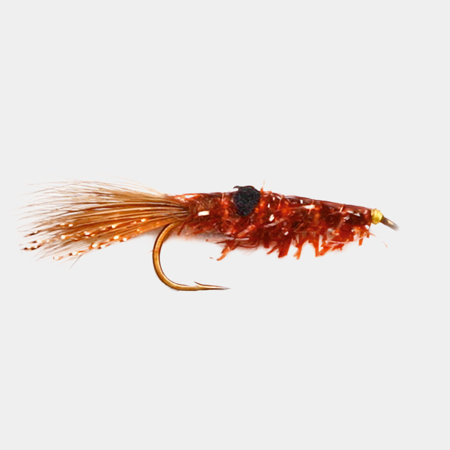 Copper Shrimp #8 -