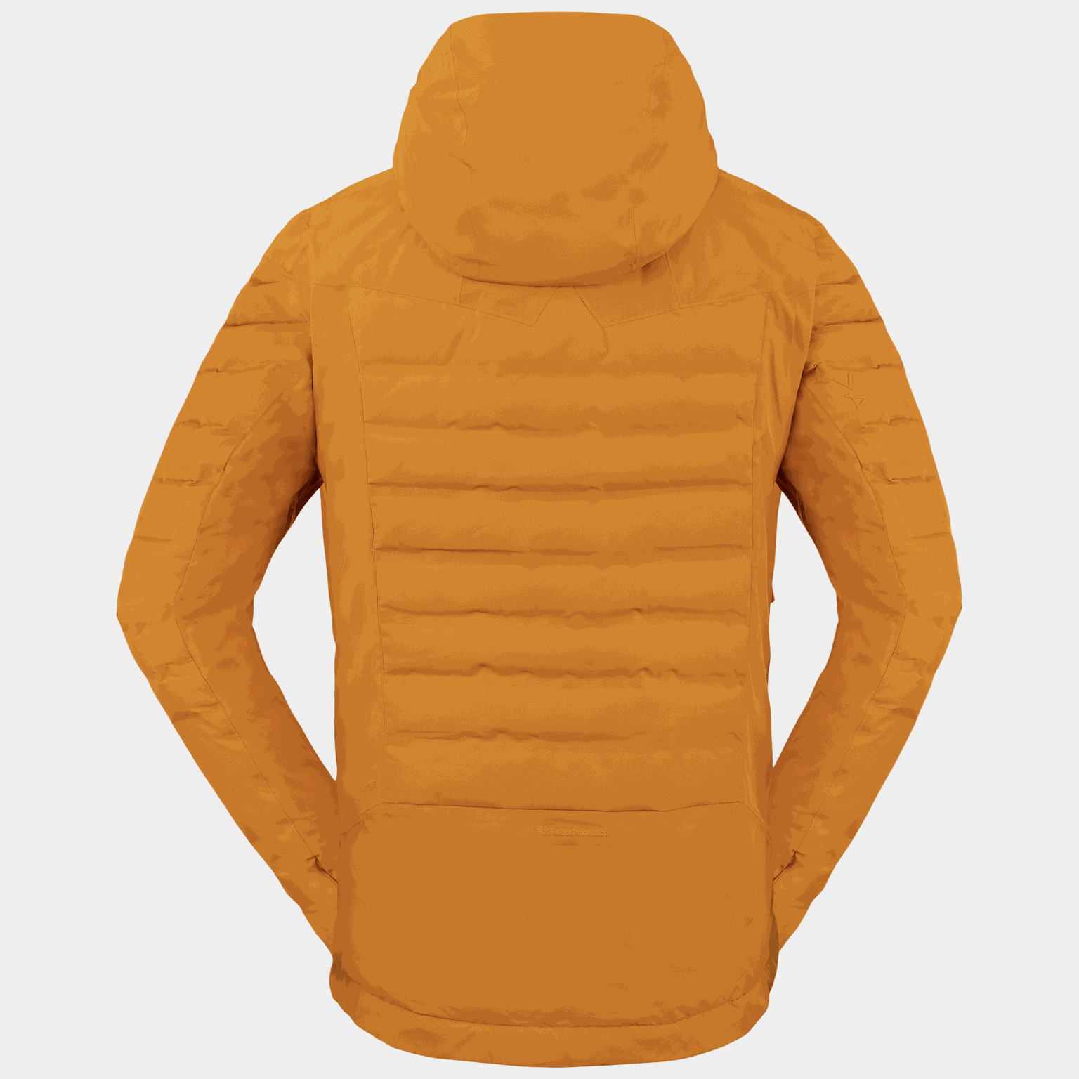 Apex GTX Infinium Down Jacket, dunjakke, herre - Brun