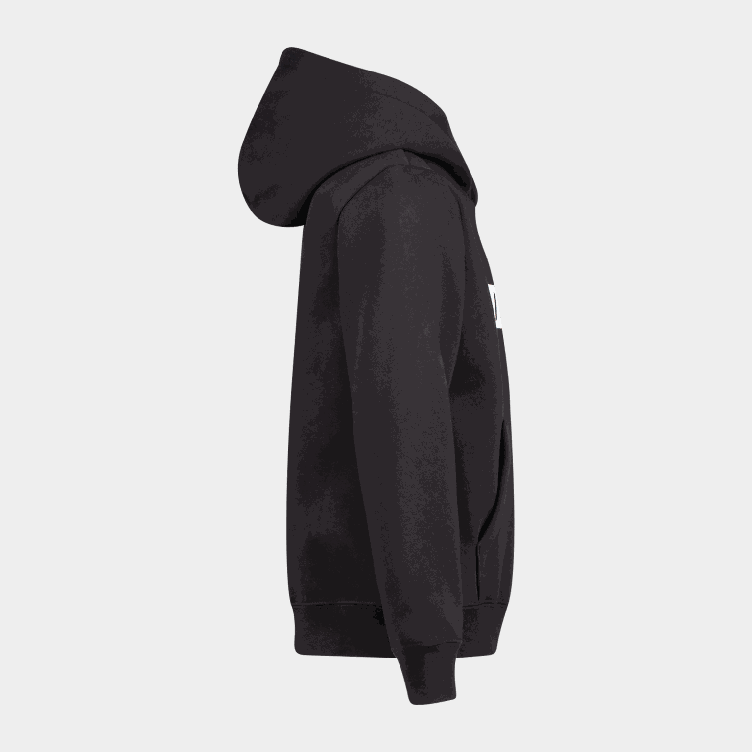  ESS Big Logo FL B Youth Hoodie
