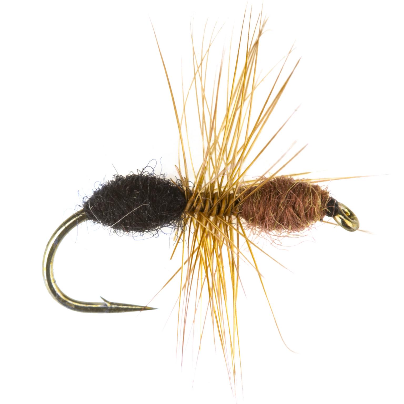  Bosmier nr. 12 -
