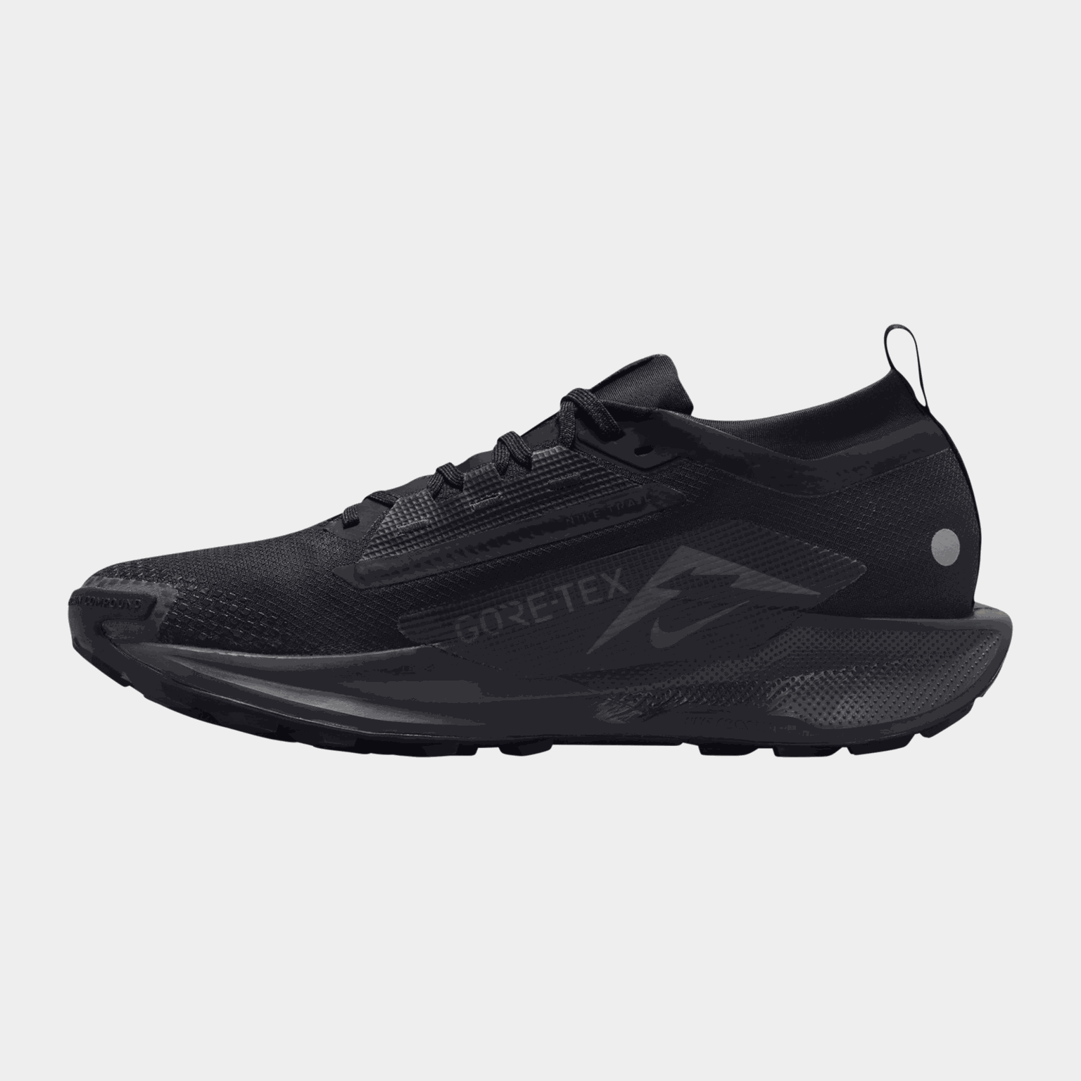 Pegasus Trail 5 Gore-Tex Męskie buty do biegania w terenie – czarne