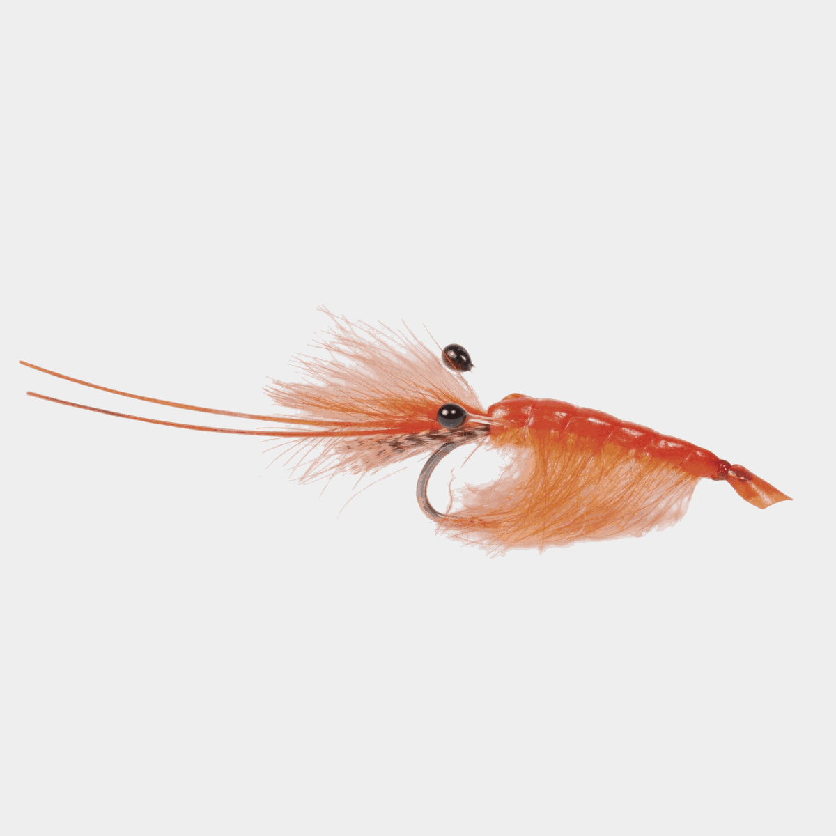 Orange CDC shrimp #6 -