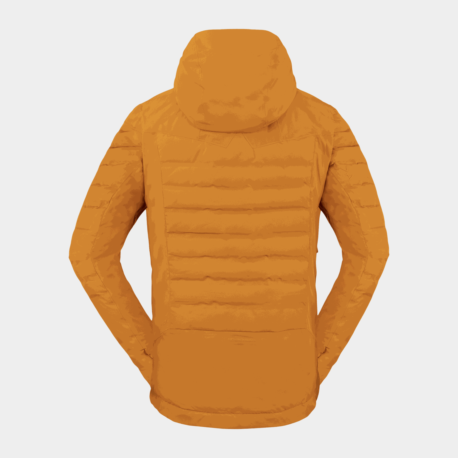Apex GTX Infinium Down Jacket, dunjakke, herre - Brun