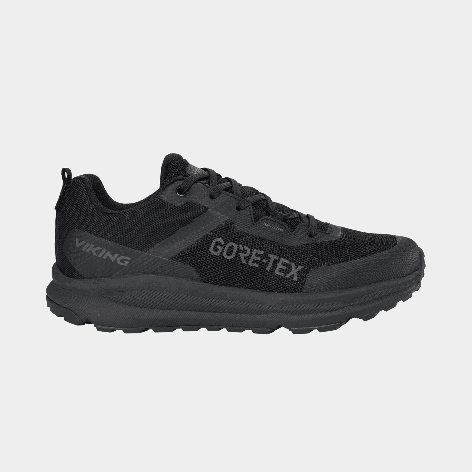 Stride Low GTX herenwandelschoenen – zwart