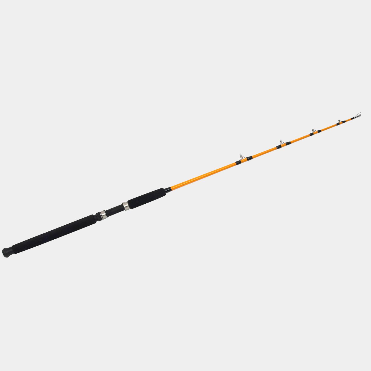 Sárga zátonyhal, 135 cm, 300 g