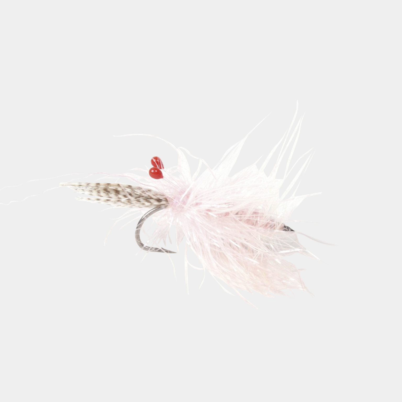  Crevettes roses vivantes n° 6 -