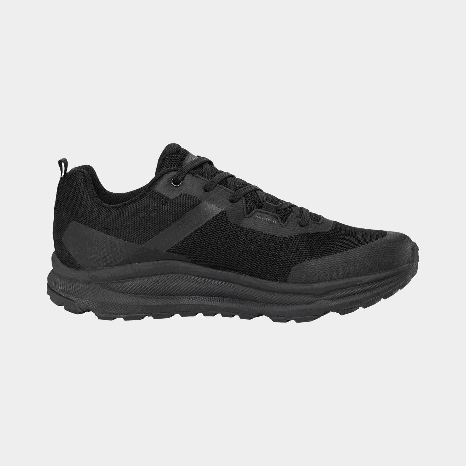 Stride Low GTX herenwandelschoenen – zwart