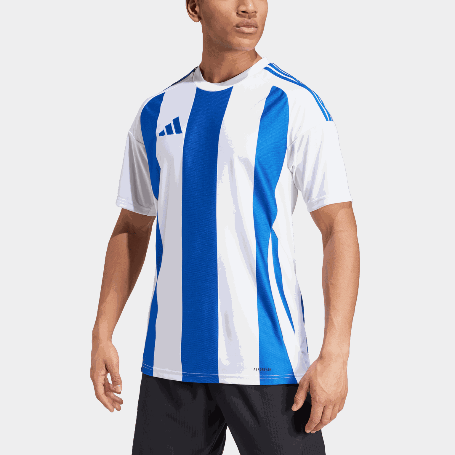 Striped 24 Jersey, treningstrøye, herre - Blå
