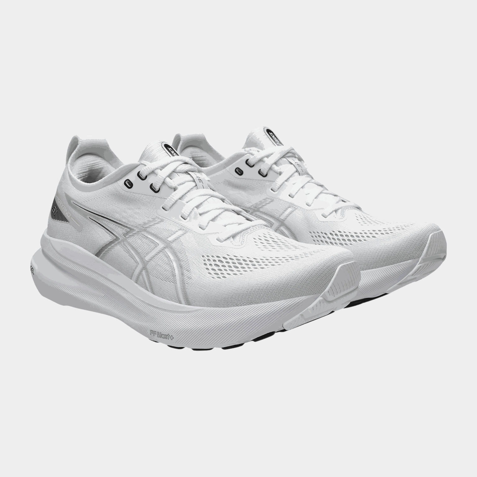  Ανδρικά παπούτσια τρεξίματος Gel-Kayano 31