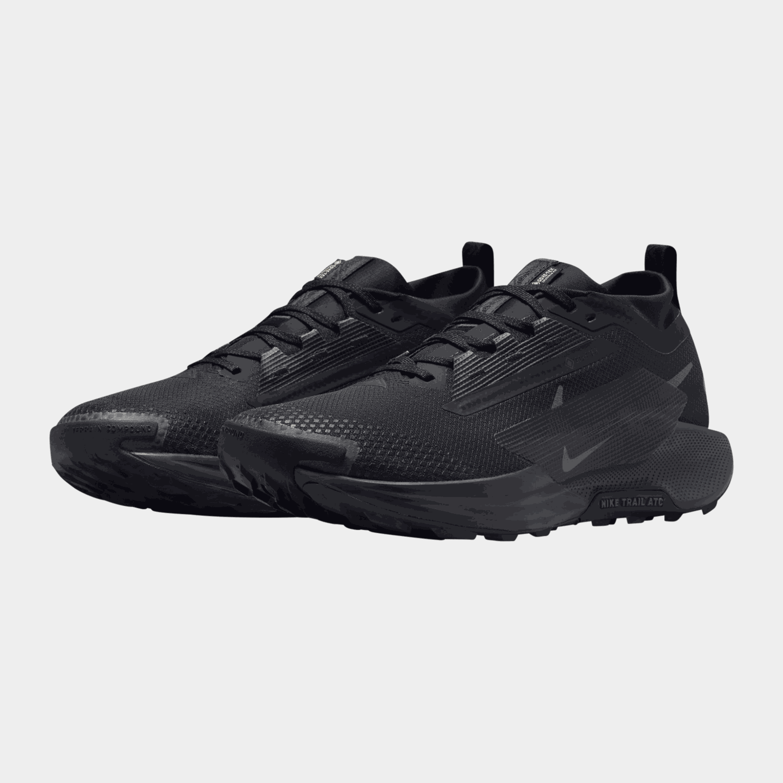Chaussures de trail Pegasus Trail 5 Gore-Tex pour homme – Noires