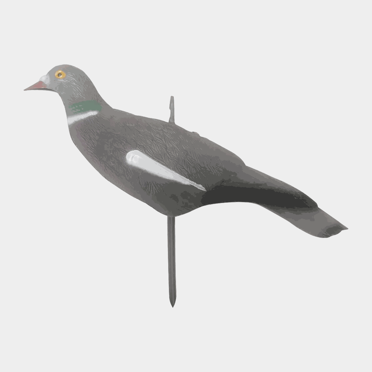  Bronze, isca, pombo selvagem - cinza