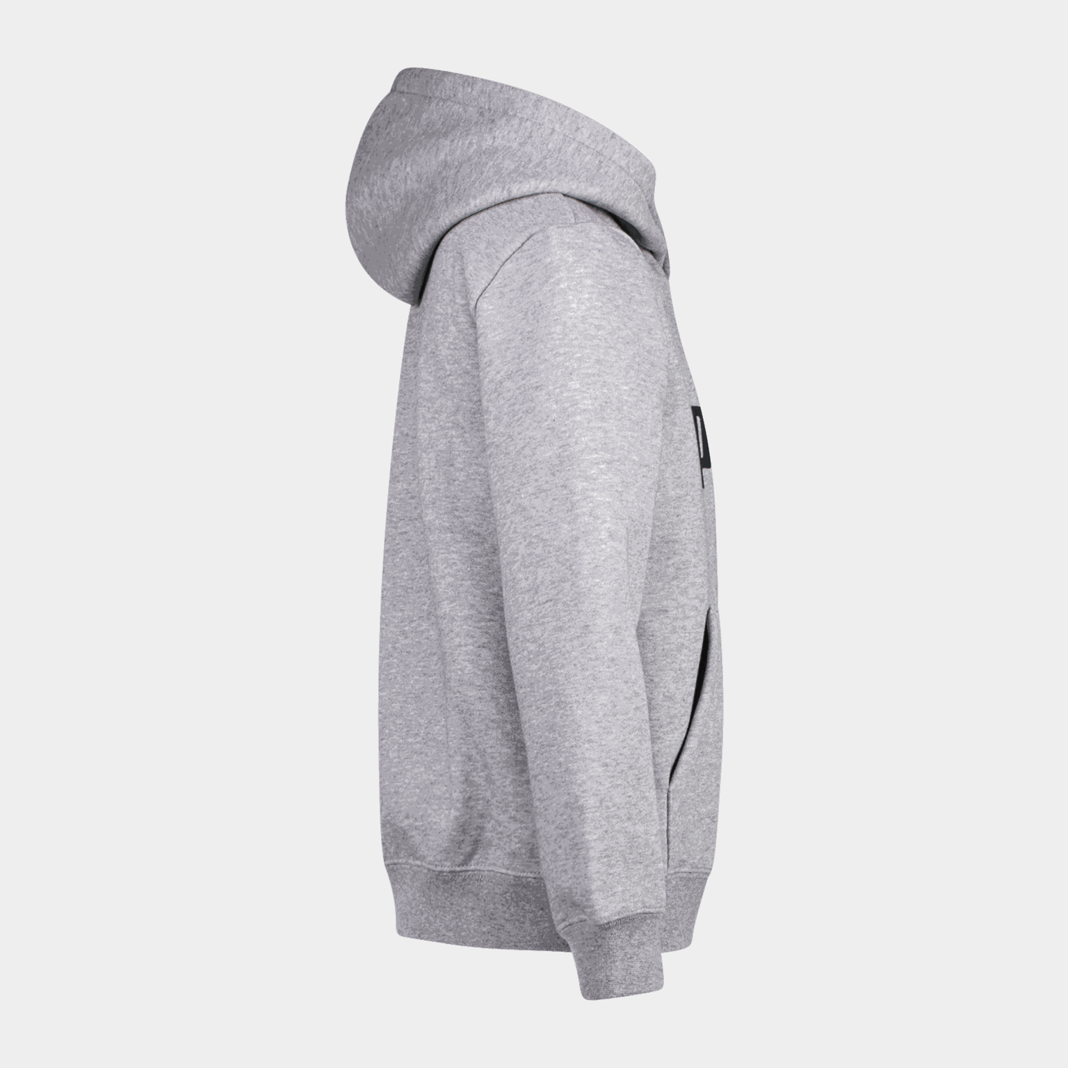  ESS Big Logo FL B Youth Hoodie