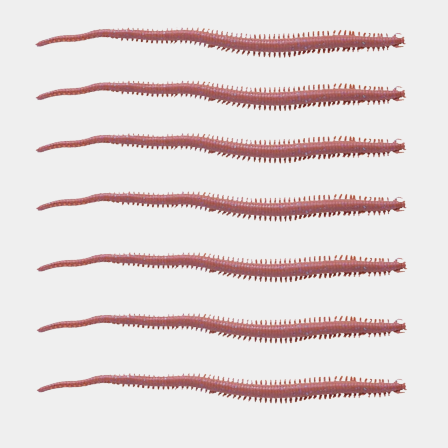 Gulp Sandworm, Børstemark Mørk Brun 15cm* -