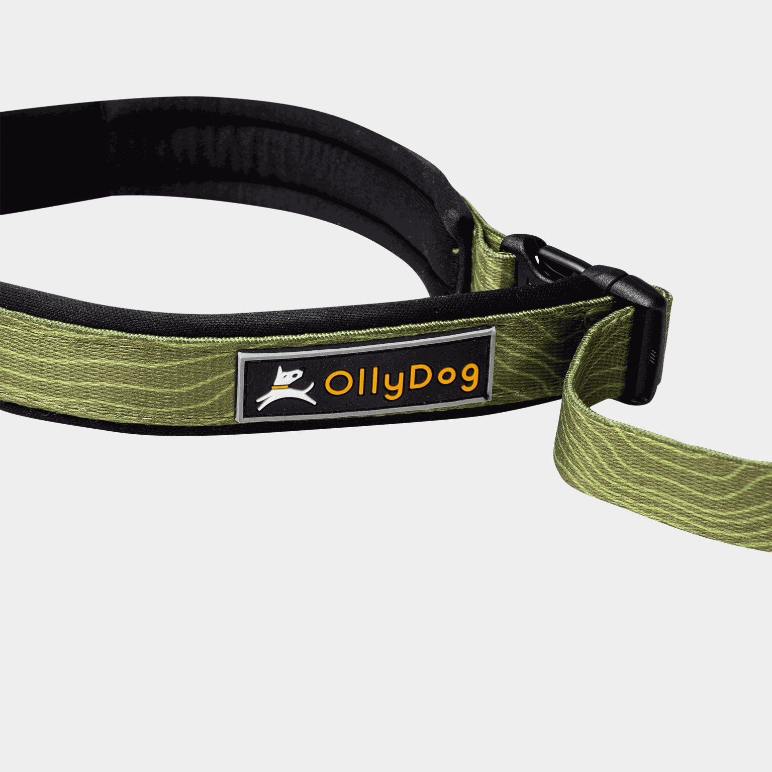 Flagstaff Adjustable Spring Leash, hundekobbel