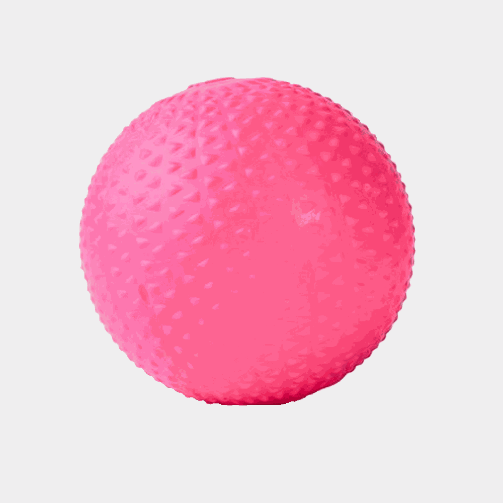 Bandy Ball 1 St - 24/25, bandyball