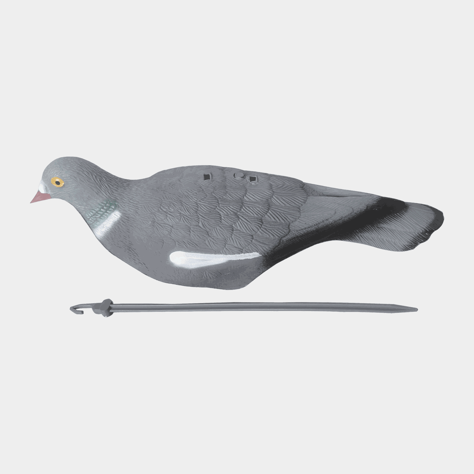 Bronze, isca, pombo selvagem - cinza