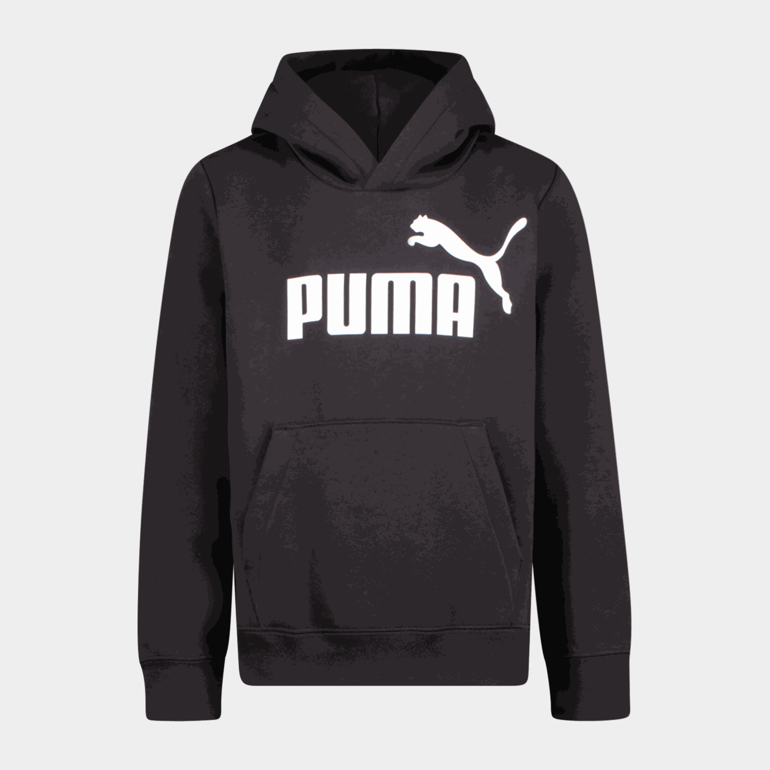  ESS Big Logo FL B Youth Hoodie