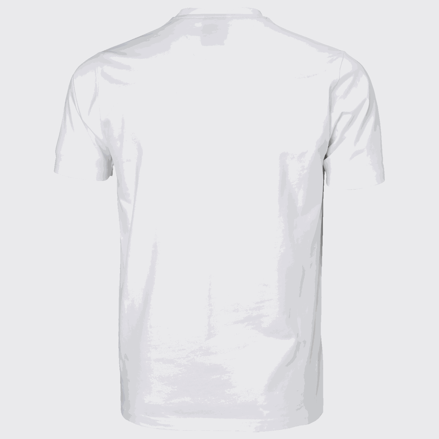  Doos met T-shirts, heren T-shirts